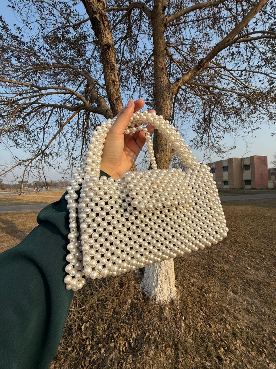 Lulu Mini Pearl Handcrafted Bag